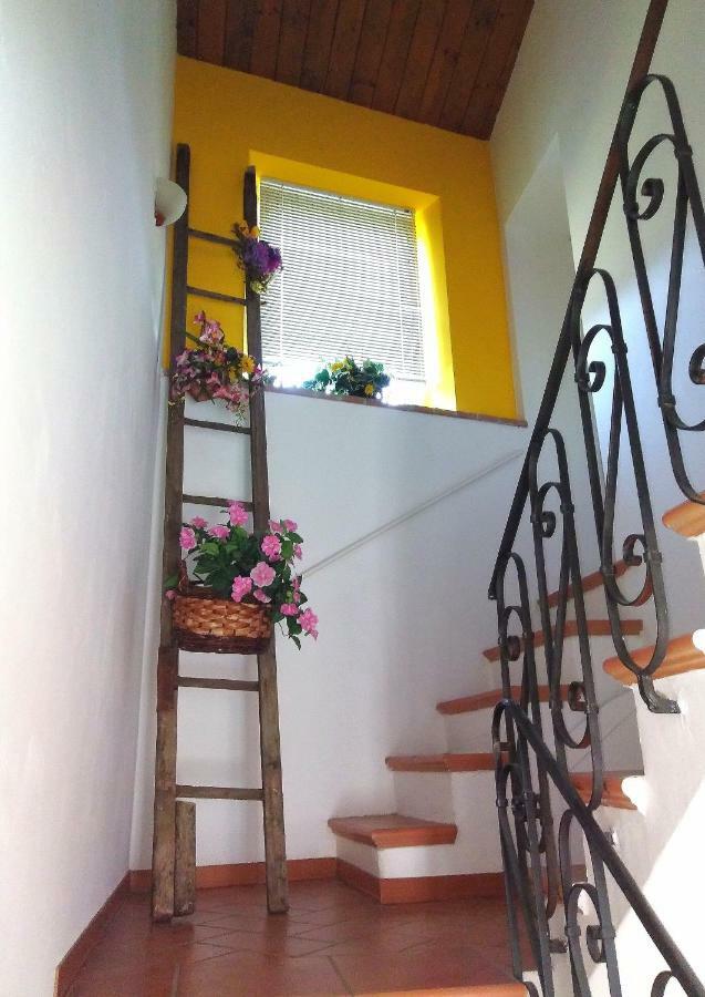 Casa Di Mamma Casa Vacanze Genga  Dış mekan fotoğraf